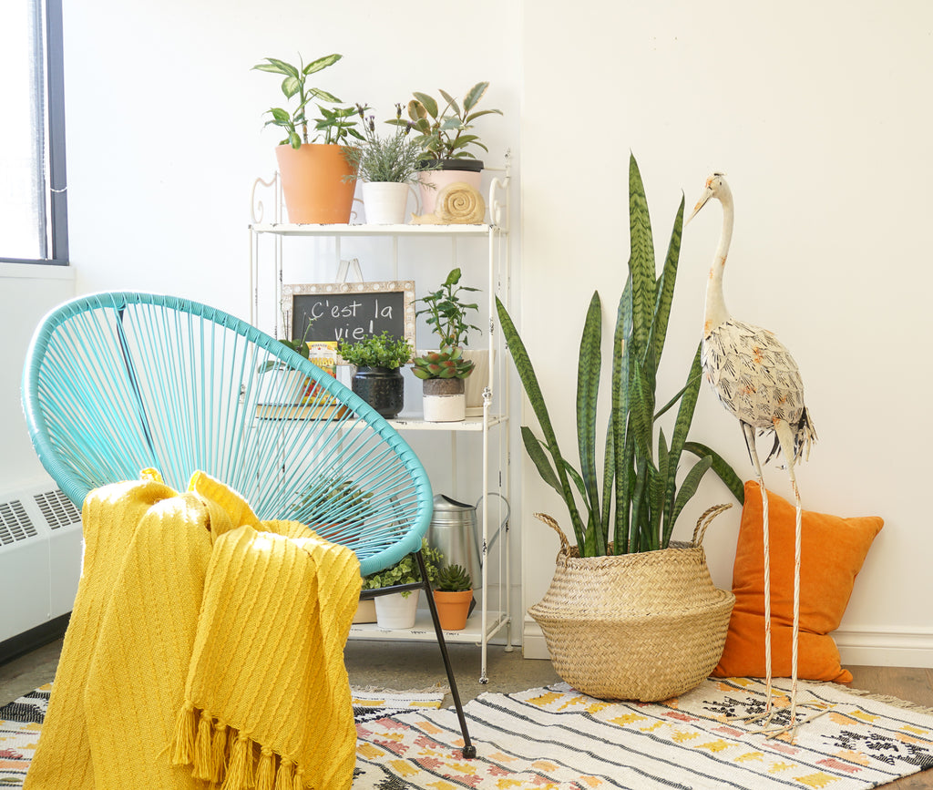 2019 Spring Design Trends: 7 Décor Trends We’re Loving – UTR Decorating